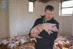 zum Beitrag »Schwein gehabt? Von der Würde unserer Nutztiere«
